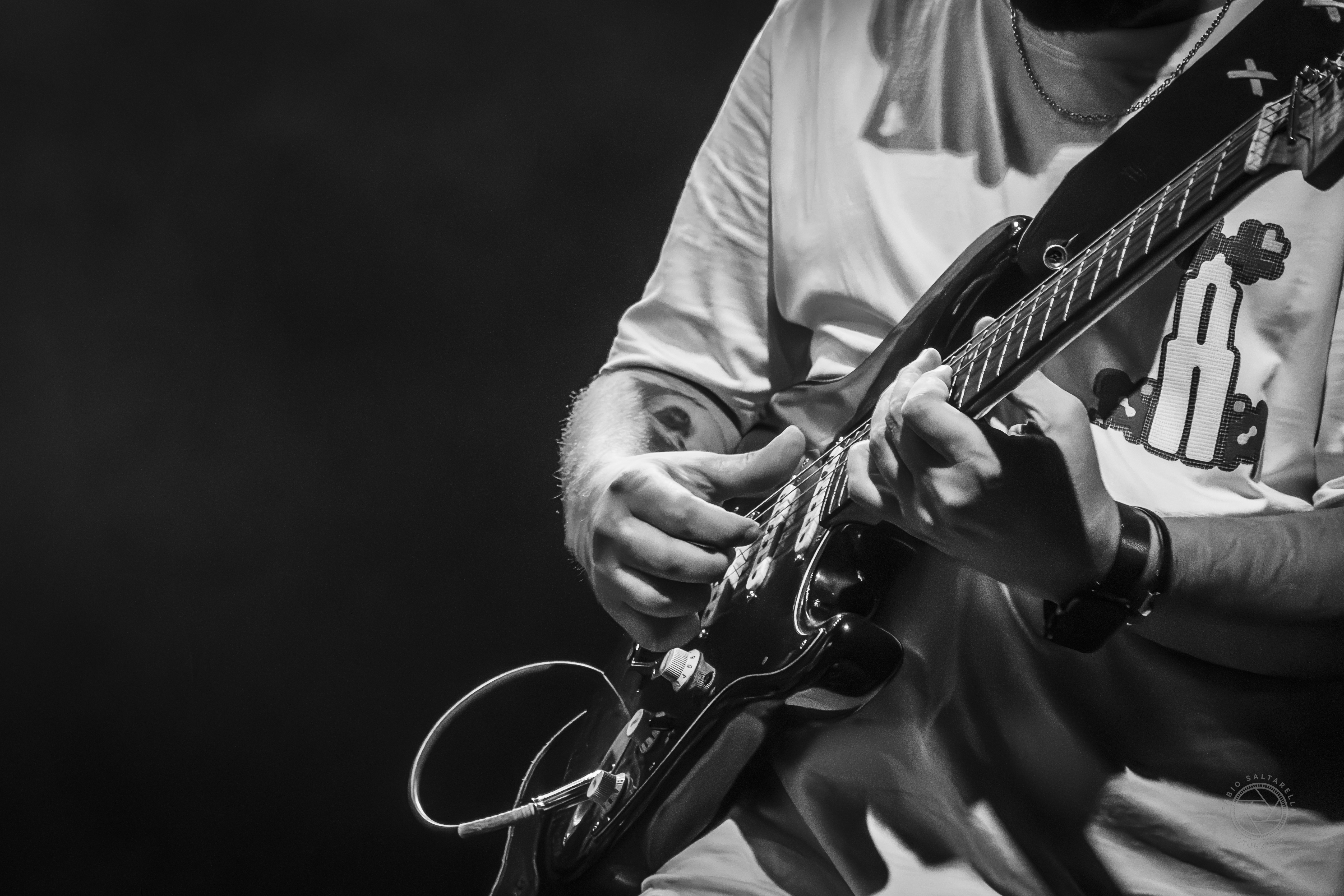 Panda tocando guitarra